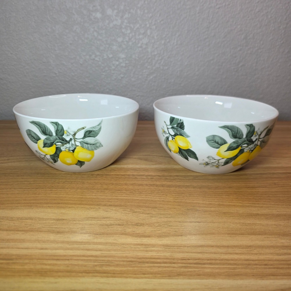 New Set Of 2 Royal Norfolk Lemon Summer Ceramic Soup Cereal Salad Bowls 5 3/8"